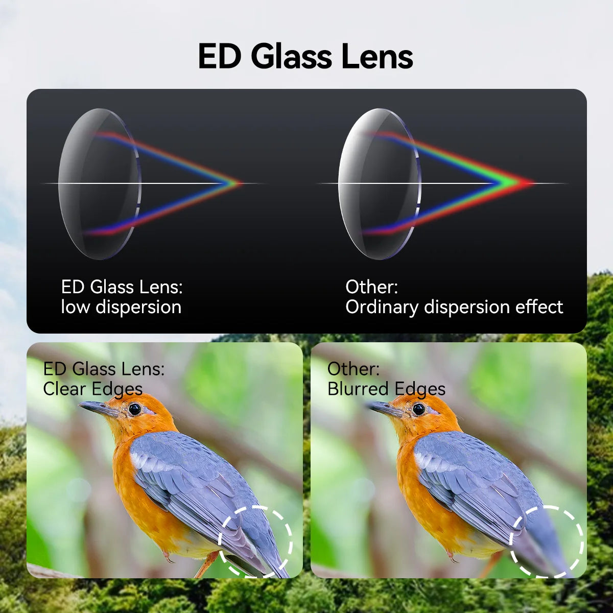 Svbony SV202 Upgraded ED Binoculars 8x32/8x42/10x42 Wide Field of View IPX7 Waterproof Fogproof Bak4 Prism for Bird Watching